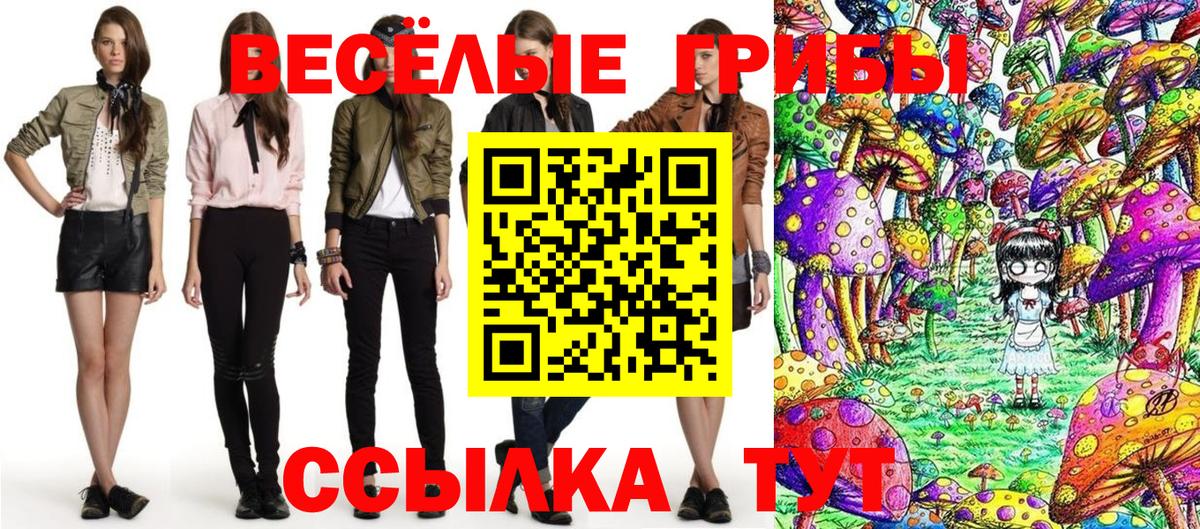 Ржев  Псилоцибиновые грибы GOLDEN TEACHER  Галлюциногенные грибы мицелий  Вход с VPN 